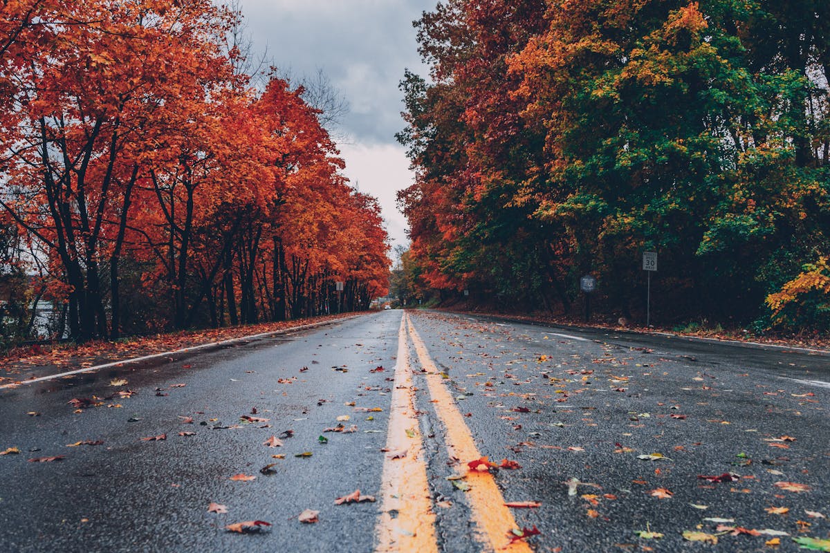 Autumn road through fall foliage